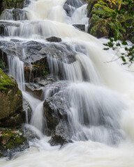 waterfall in the woods