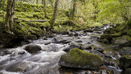 waterfall in the woods