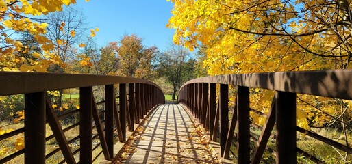 Bridge in autumn park with yellow, golden leaves in Vineland, Ontario, Canada
