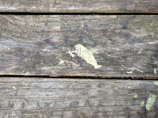 Grungy paint stain on gray weathered wood