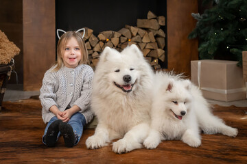 Girl and samoyed husky dog. Home, fun