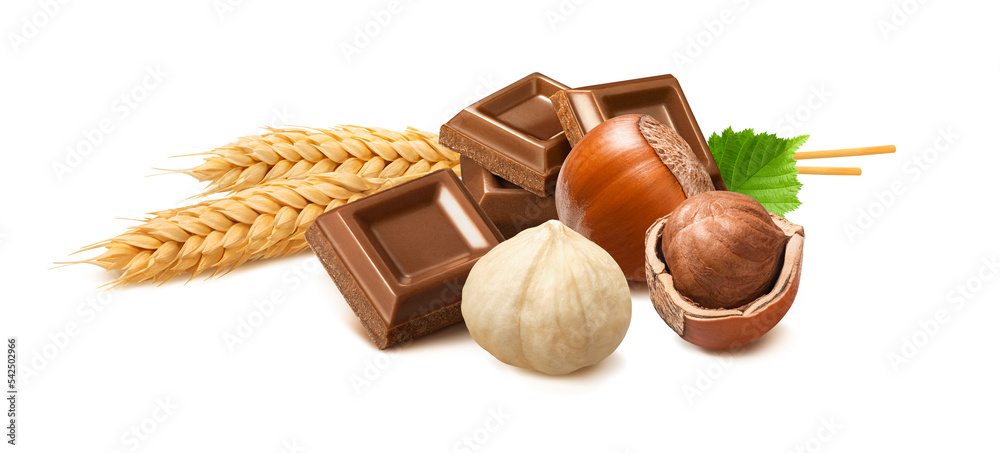 Wall mural Milk chocolate squares, wheat ears and hazelnuts isolated on white background. Whole nuts with green leaves