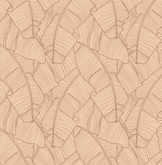 Brown lines pattern banana leaves that it is a tropical plant on light yellow background, flat line vector and illustration.