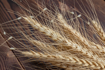 Wheat Ears on the Wooden Table. Sheaf of Wheat over Wood Background. Harvest concept