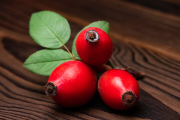 Dog rose with bunch branch Rosehips, types Rosa canina hips. Medicinal plants and herbs composition