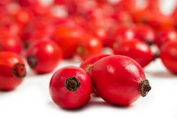 Rose hip. Dog rose on a white background.