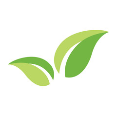 leaf icon design vector template