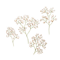 Set of watercolor gypsophila with green leaves. For invitations, backgrounds, wedding sets, fashion, scrapbooking, digital paper.