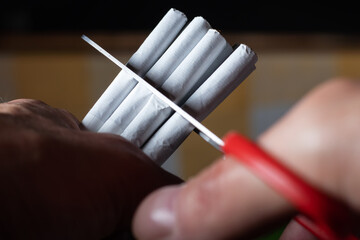 Quit smoking. Closeup of man hands holding bunch of cigarettes and cutting them in halves with...
