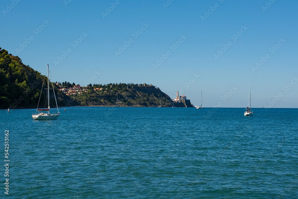 Wall mural Strunjan protected marine park on the coast of Slovenia in the Gulf of Trieste, mid September. The historic medieval town of Piran can be seen background centre
