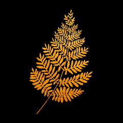 Golden leaf
