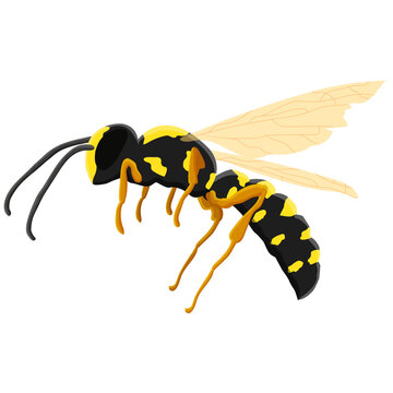 Dangerous insect wasp on a white background. Vector illustration