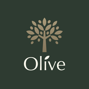 Olive tree logo. Extra virgin olive oil label icon. Tree of life symbol. Organic brand identity. Plant leaf sign. Vector illustration.