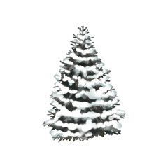 Watercolor snow Christmas tree. Spruce in the snow. Realistic illustration PNG
