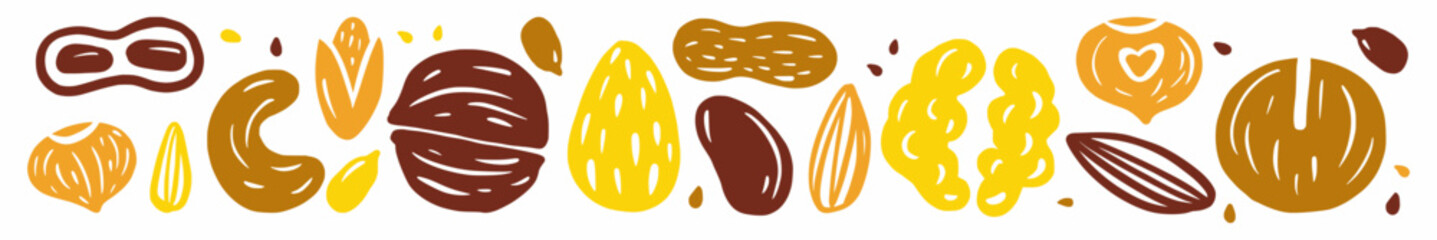 Vector horizontal pattern of a collection of nuts drawn by hand in the style of a doodle