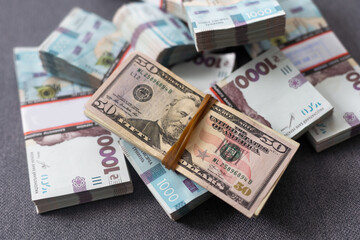 bundles of hryvnias and dollars