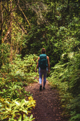 Obraz premium Athletic woman walks through adventurous jungle path along green overgrown path. Levada of Caldeirão Verde, Madeira Island, Portugal, Europe.