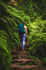 Athletic woman walks up strais on adventurous jungle path with many farns. Levada of Caldeirão Verde, Madeira Island, Portugal, Europe.