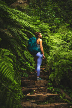Athletic woman walks up strais on adventurous jungle path with many farns. Levada of Caldeir&atilde;o Verde, Madeira Island, Portugal, Europe.