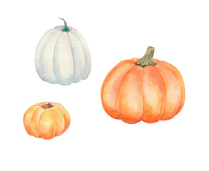 Watercolor pumpkins illustration. Pumpkin. Fall set . Autumn illustration. Design for cards, logo, banners, decoration. October mood.