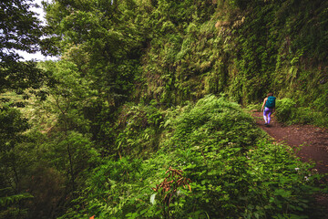 Athletic woman walks at adventurous green jungle path along water canal. Levada of Caldeirão...