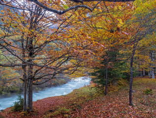 autumn in the Pyrenees, Ordesa National Park 