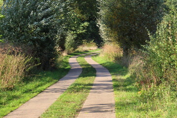 path in the park and field