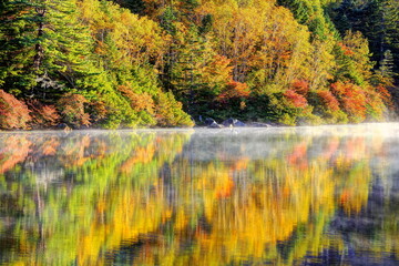 白駒池の紅葉と気嵐
