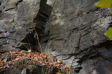 Rock from Paleozoic era in Ore mountains, Czech Republic. Grey wrinkled rock.