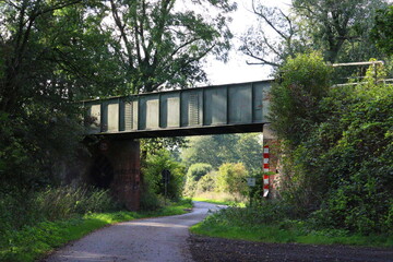bridge over footpath in the woods