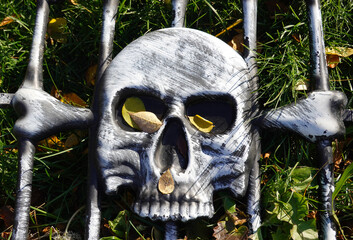Garden Skull & Bones