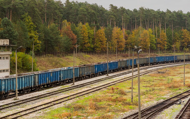 Wagony pociągu towarowego stojące na bocznym torze w lesie wśród jesieni  .Niebieski pociąg  do przewozu towarów sypkich . - obrazy, fototapety, plakaty