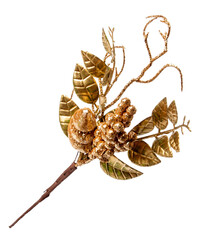 close-up of twig on white background .isolate