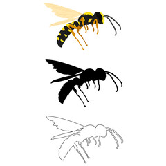 Vector illustration in three styles outline, silhouette, flat design, on the theme of an insect wasp in flight.