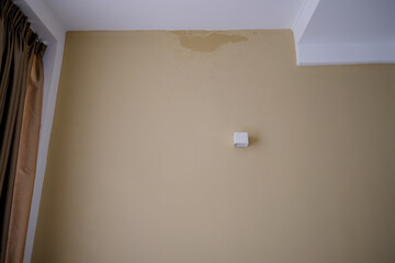 darkened room wall, dilapidated walls and wet ceiling, gray mold on plaster, concept destruction of...