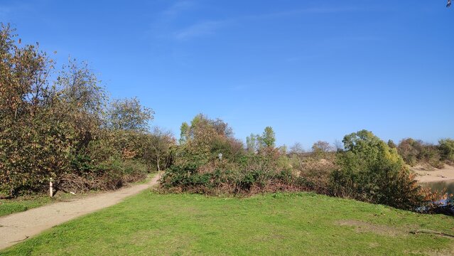 epplesee  karlsruhe baggersee ufer