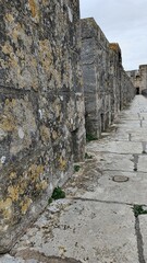 aigues morte