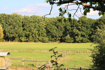 landscape scene in autumn