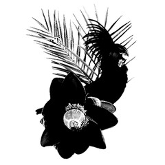 Graphic Bird of Paradise. Tropical bouquet. black cockatoos, palm leaves, cymbidium and orchids. realistic illustration PNG - obrazy, fototapety, plakaty