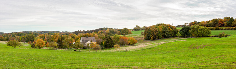 Fototapeta na wymiar Panoramic rural autumn scenery in North Rhine Westphalia in Germany. Farm lodge in the middle of a vast green field.