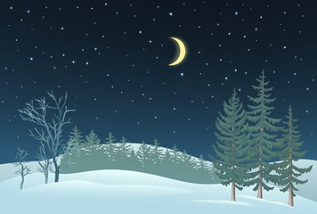 Fototapeta na wymiar Winter Night Background. Theme for New Year and Christmas.