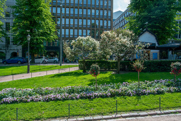 Fuchsias, balsamina and Lilac trees - only white  blossoms!   Esplanade park in Helsinki