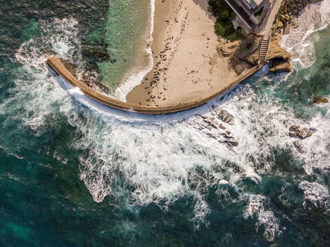 Aerial of Children's Pool and Sea Wall La Jolla, San Diego California