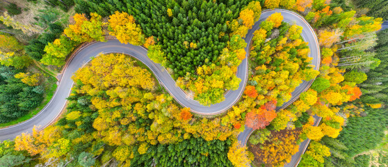 Winding forest asphalt road on colorful autumn day from above