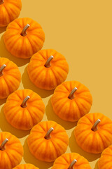 ripe orange pumpkin on a yellow background