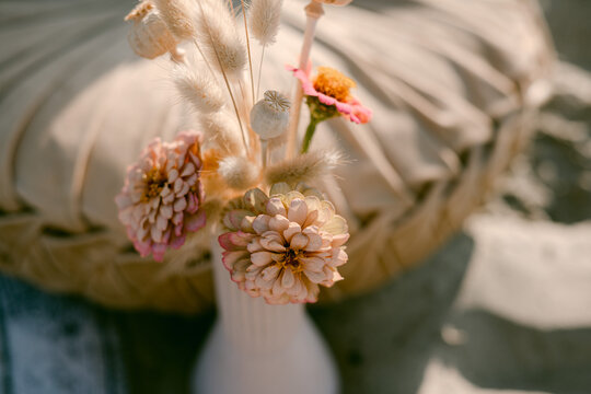 Pink And Brown Zinnia Flowers In Vase