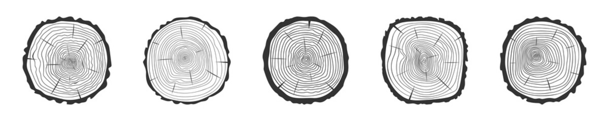 Fototapeta premium Tree rings icons set. Trunk cross section surface. Dendrochronology method to determine tree age. Wooden texture doodle stamps collection isolated on white background. Vector hand drawn illustration
