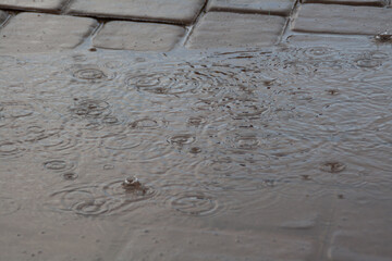 Rain drops on flooded pavers