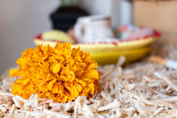 Day of the dead offering. Mexican culture and cempasuchil flower.