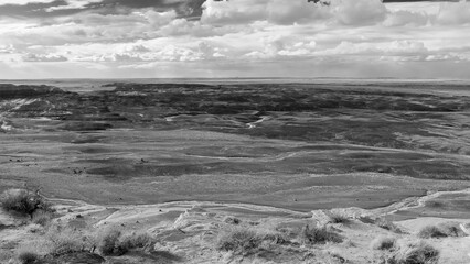 Petrified Forest National Park in black and white